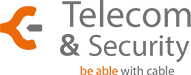 TelecomSecurity