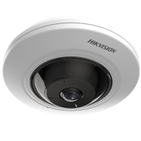 Hikvision DS-2CD2955G0-ISU(1.05mm)