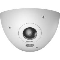 HIKVision DS-2CD6W65G1-IVS(1.16mm)