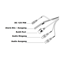 Dahua - IPC-PFW3849SP-A180-E2-AS-PV-0280B-Black - IP - Bullet