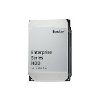 Synology HAT5300-12T Festplatte 12 TB Enterprise