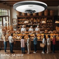 BWNC-542RFIF BURG GARD