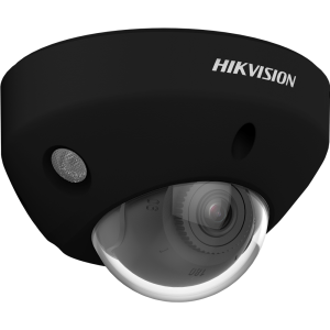 Hikvision DS-2CD2546G3-IZS2UY(2.8/4mm)/black
