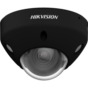 Hikvision DS-2CD2546G3-IZS2UY(2.8/4mm)/black