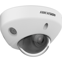 Hikvision DS-2CD2546G3-IZS2UY(2.8/4mm)/black