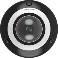Hikvision DS-2DP3D404IWG1-E/36(F5)