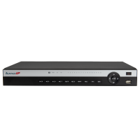 L-IPR-5204-P-AI