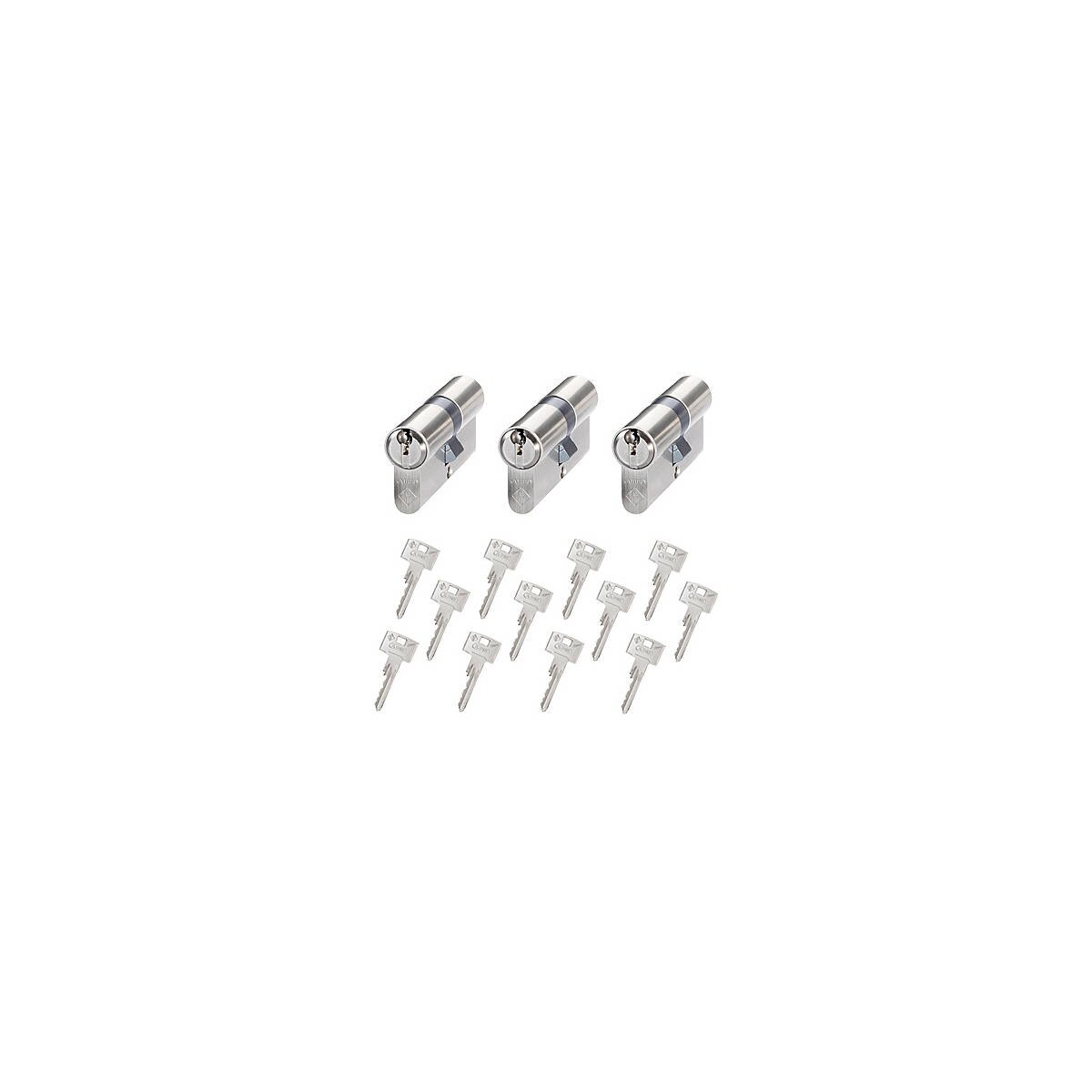 3er Abus Vitess 1000 Doppelzylinder 30/30 12 Schl.