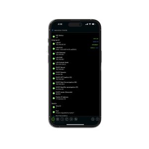 NetPeppers netool.io Lite, Smarter Netzwerktester