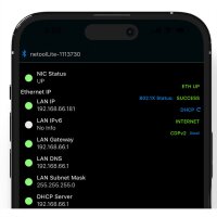 NetPeppers netool.io Pro2, Smarter Netzwerktester