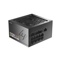 ANTEC GSK 1000 ATX3.1 1000 W Vollmodulares 80 PLUS Gold-Netzteil, schwarz