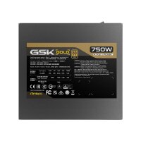 ANTEC GSK750 V2 ATX3.1 Netzteil 750W