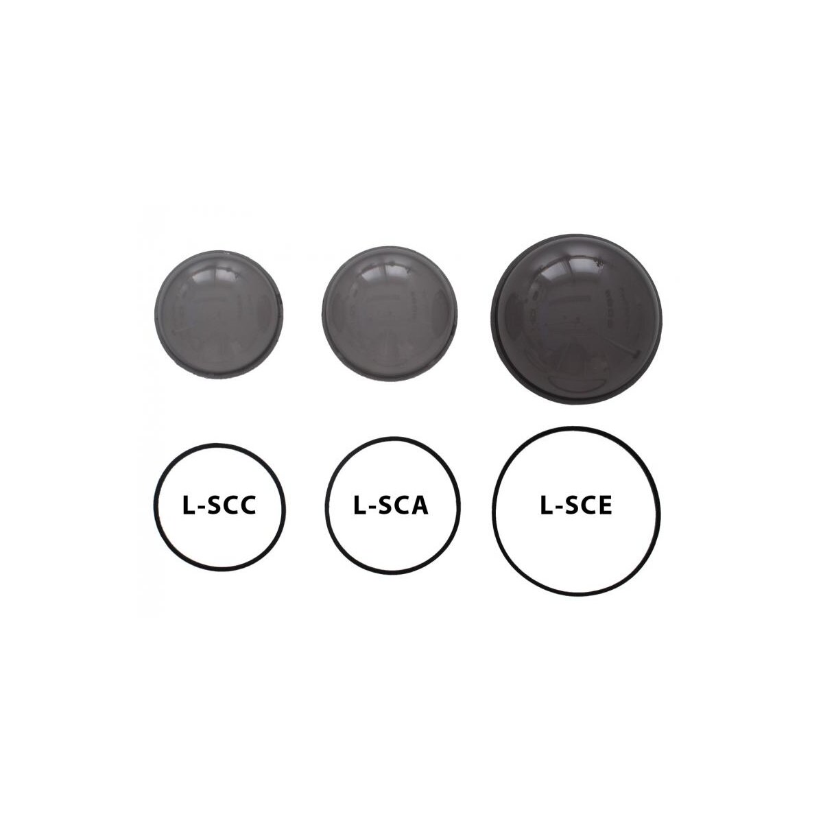 L-SCC