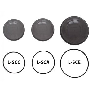 L-SCC