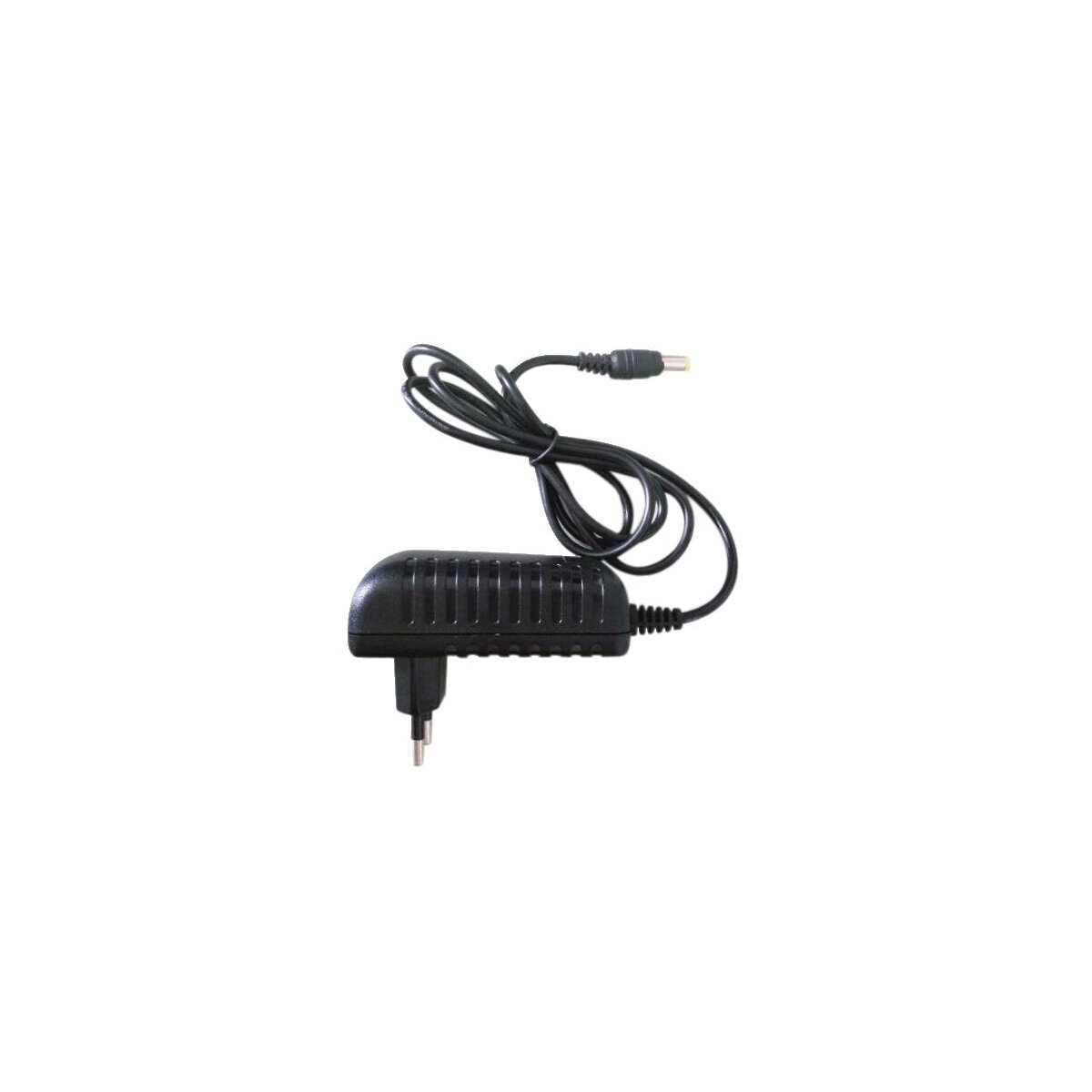 BWps-DC12V2A BURG GARD