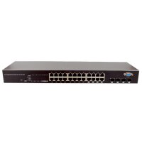 SANSWITCH-G2404 BURG GARD