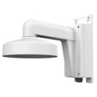 Hikvision DS-1473ZJ-155B