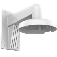 Hikvision DS-1273ZJ-158