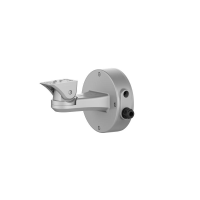 Hikvision DS-2601ZJ-Pole-P