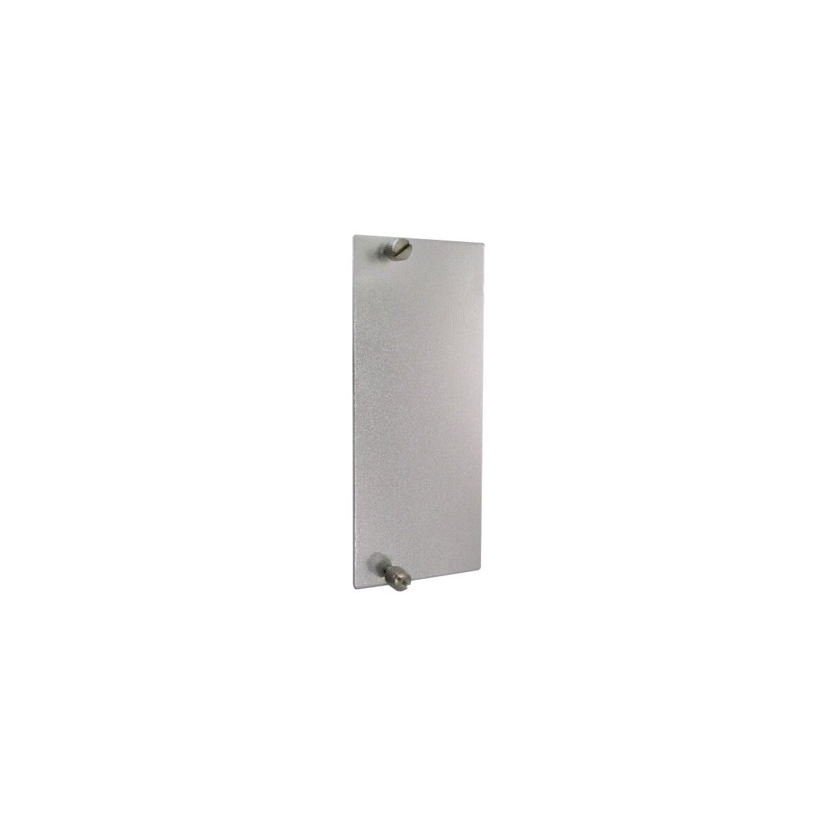 ComNet C1-BP2 Blindplatte 2 Slot, für C1 C2