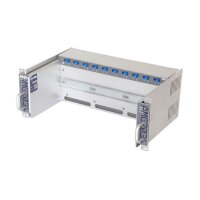 AMG Systems AMG2034-12-RP-DD "Baugruppenträger für AMG Hutschienengeräte, ausziehbar, 4HE, 19"", 2 x 12VDC"
