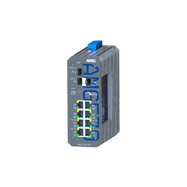 AMG Systems AMG570-4GBT-4G-3S-P290-LV