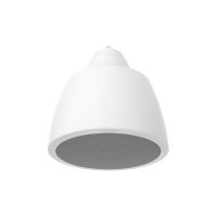 Hanwha Vision SPA-P100W IP Hängelautsprecher, unterstützt PoE und PoE+, Farbe Weiß