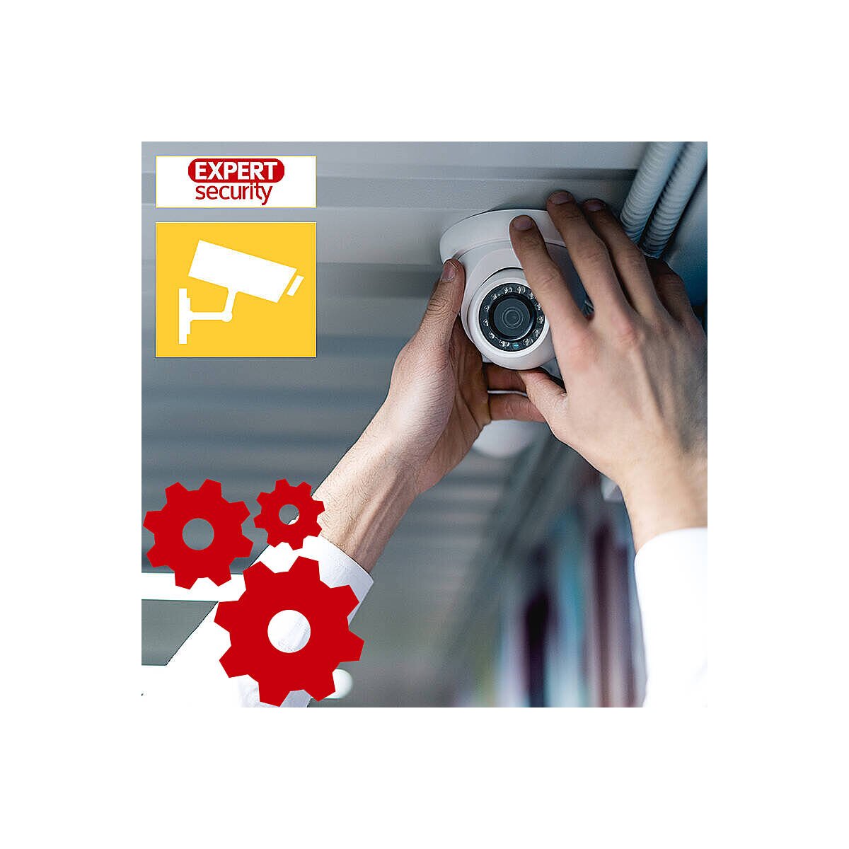 Eagle Eye VMS 2xx, 3xx,4xx Implementation Service