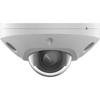 Hikvision DS-2CD2543G2-LIS2U(2.8mm)(O-STD)/BLACK