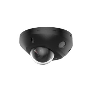 Hikvision DS-2CD2543G2-LIS2U(2.8mm)(O-STD)/BLACK