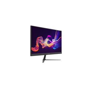Hikvision DS-D5024F2-BV2S(O-STD)(EU) 23,8-Zoll-VA-Display, 1920x1080 Auflösung, 178° Blickwinkel, 100Hz, 250 nits, HDMI, VGA, 2x 2W Lautsprecher