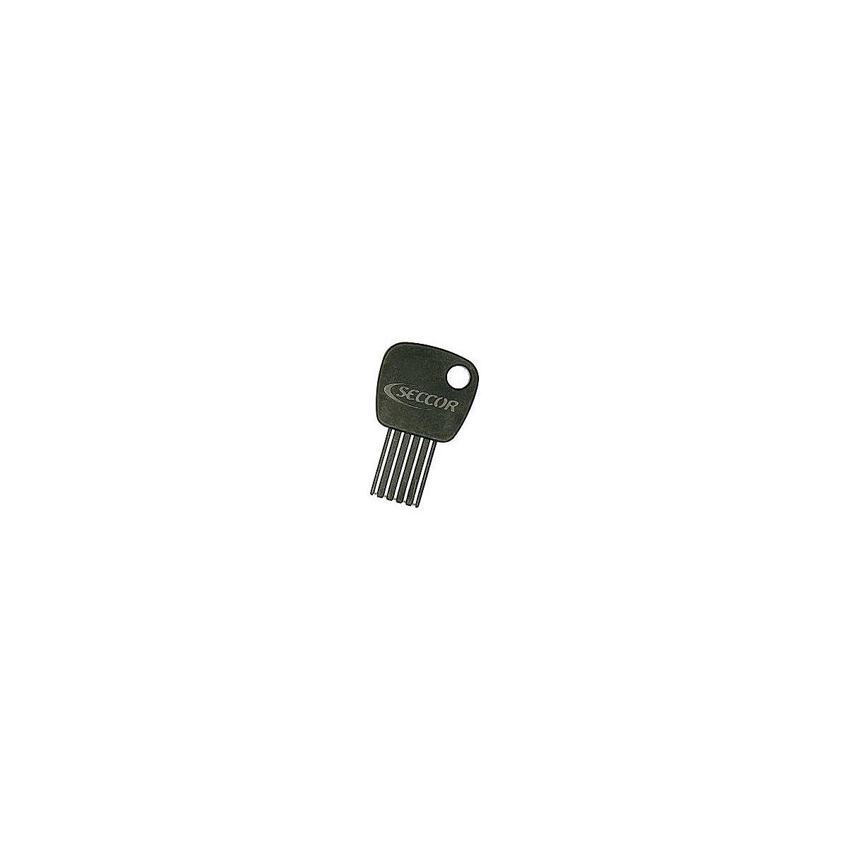 ABUS Seccor Chip-Schlüssel ACS - Elektronisch