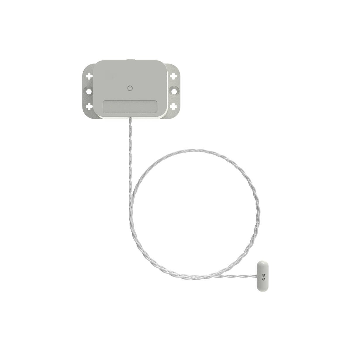 Eagle Eye Drahtloser magnetischer Türsensor IP66