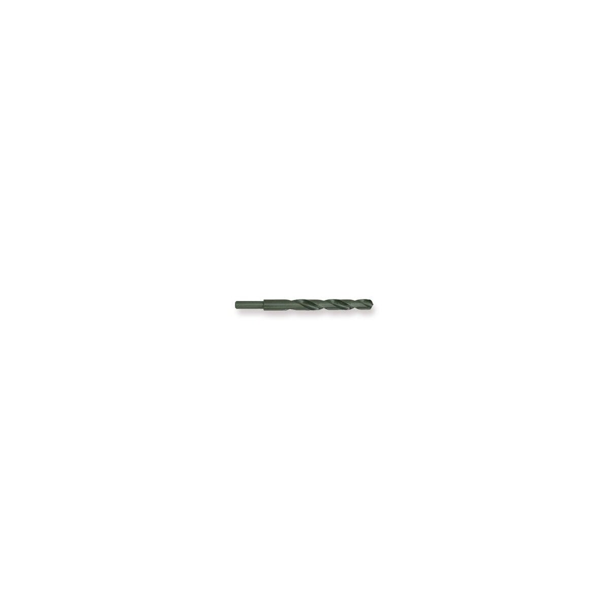 BSS Spezialbohrer EasyLock Sperrelement