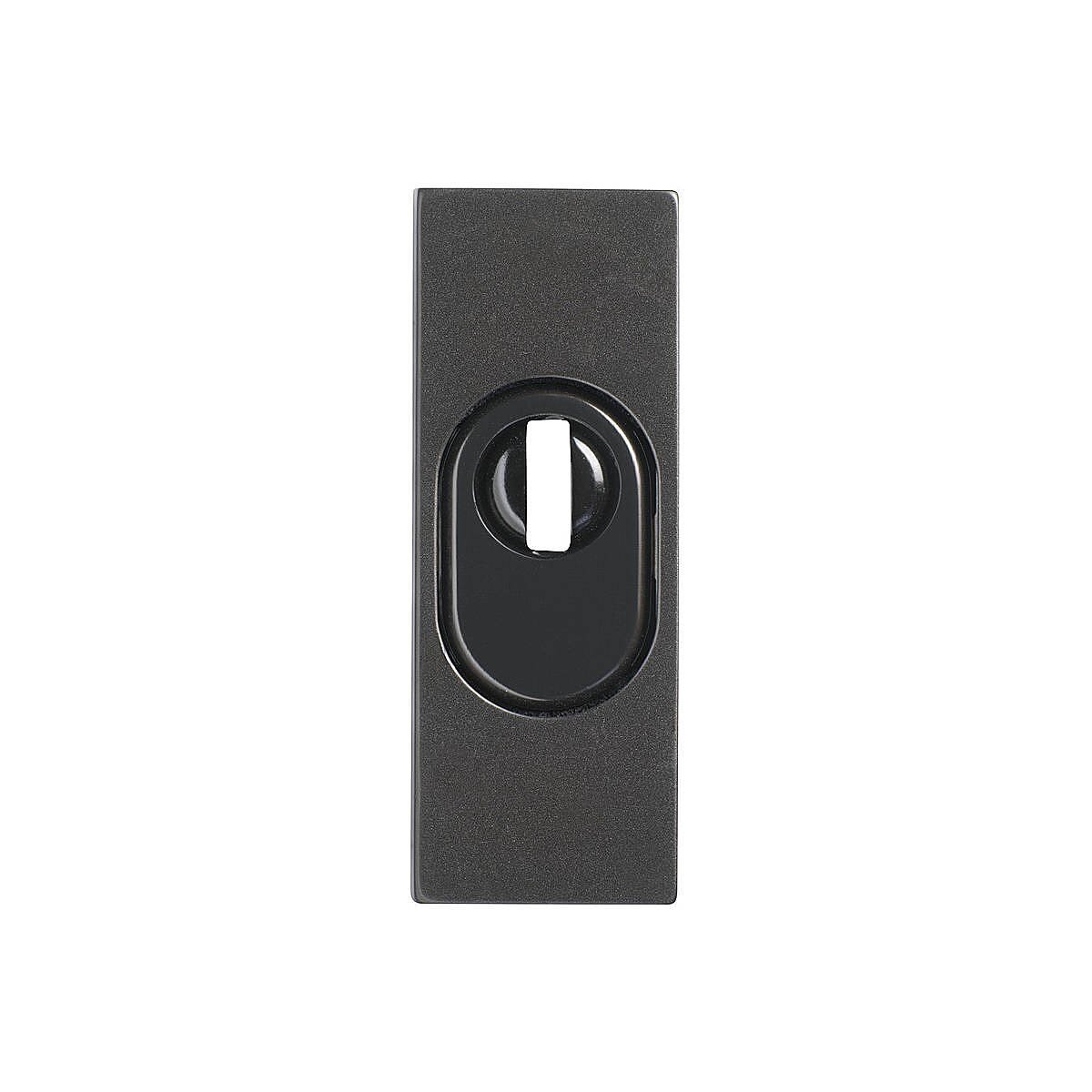 ABUS Außenrosette für TSS550 braun