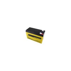 ABUS BT2120 VdS-Akkumulator 12V/12Ah