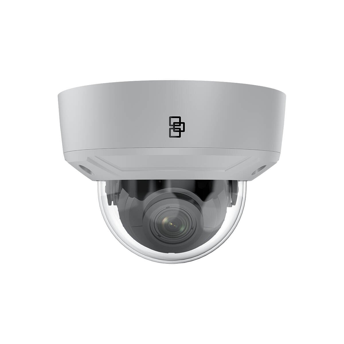 TruVision TVGP-M01-0402-DOM-G IP-Kamera 4MPx T/N