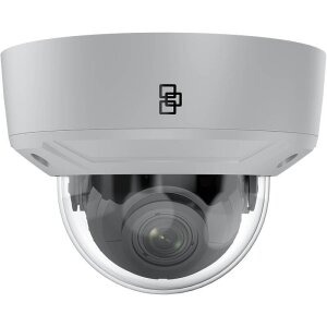 TruVision TVGP-M01-0402-DOM-G IP-Kamera 4MPx T/N