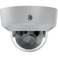 TruVision TVGP-M01-0402-DOM-G IP-Kamera 4MPx T/N