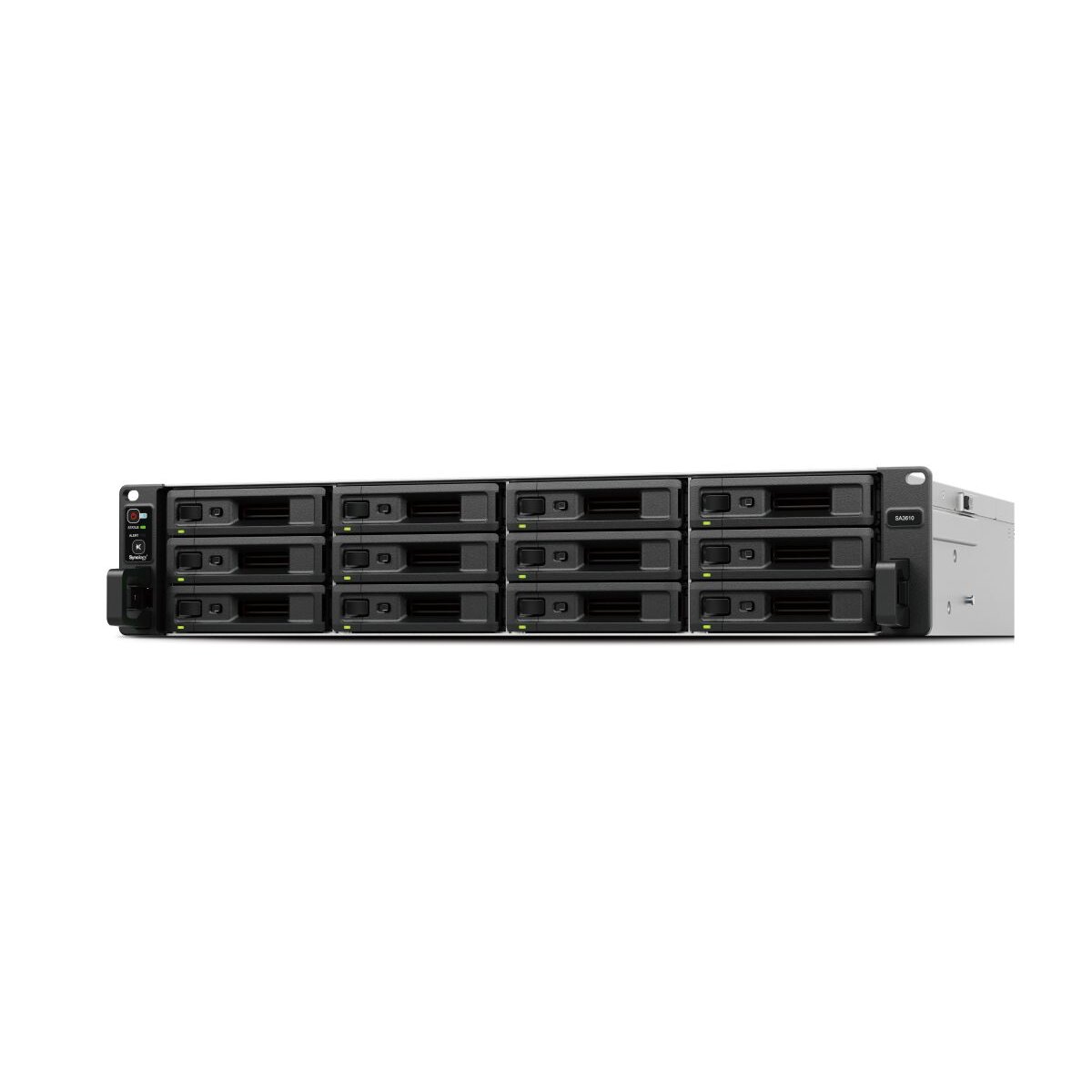 Synology SA SA3610 NAS & Speicherser box