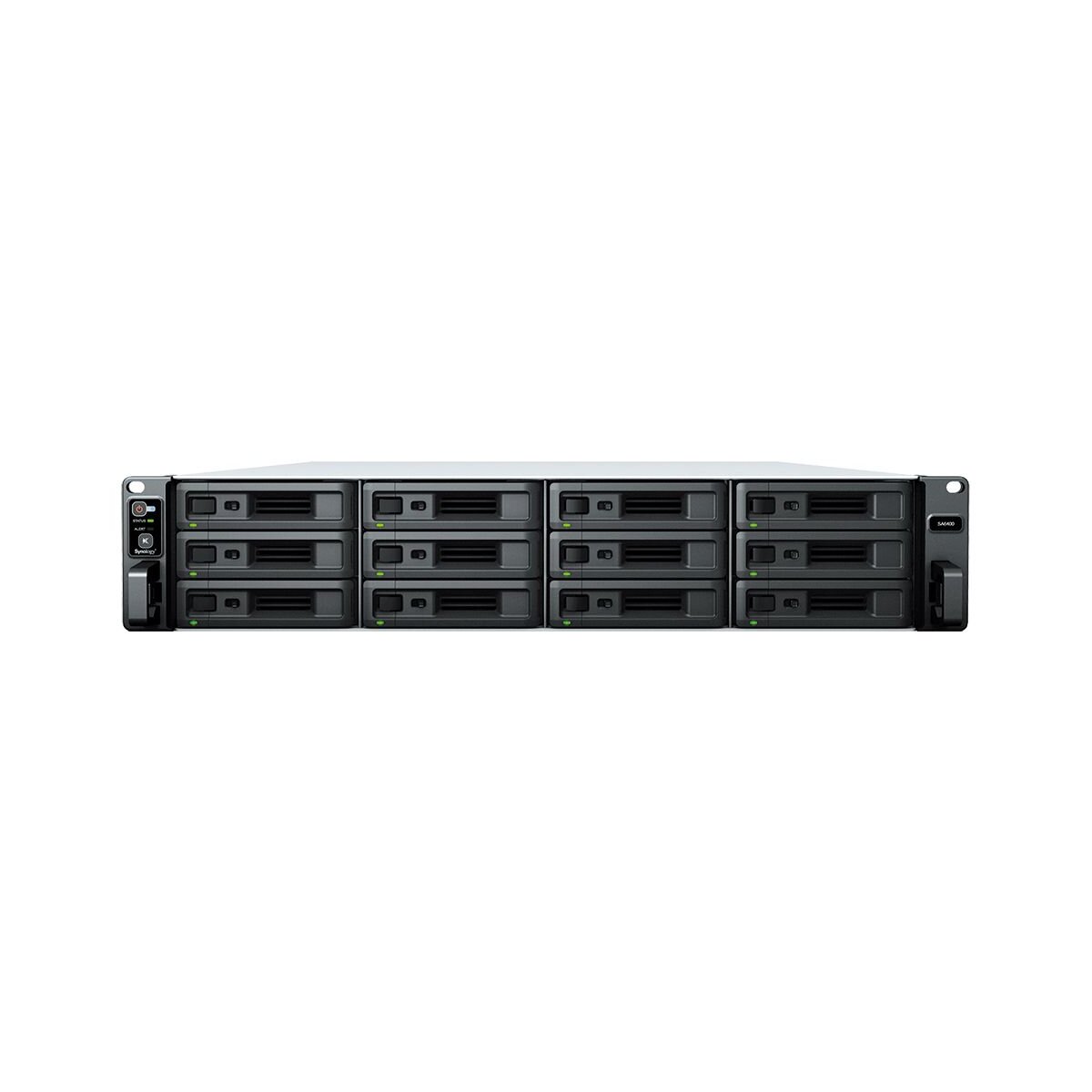 Synology SA SA6400 NAS & Speicherserver Rack (2U) Eingeb