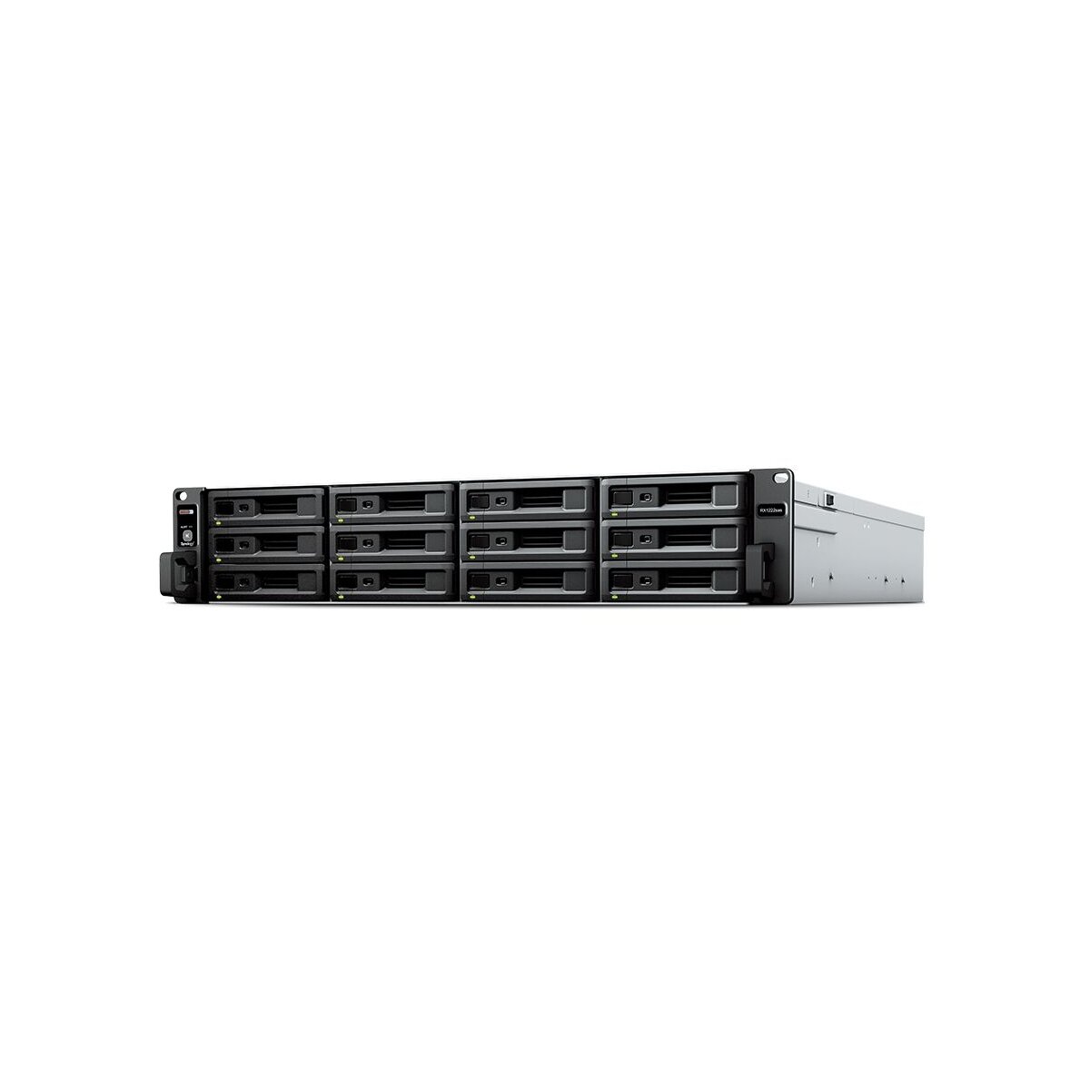 Synology RX1222sas HDD / SSD-Gehäuse Schwarz 2.5/3.5 Zo