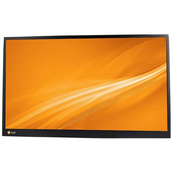 Eneo VM-FHD24M 24" LCD Monitor 1080p LED HDMI VGA