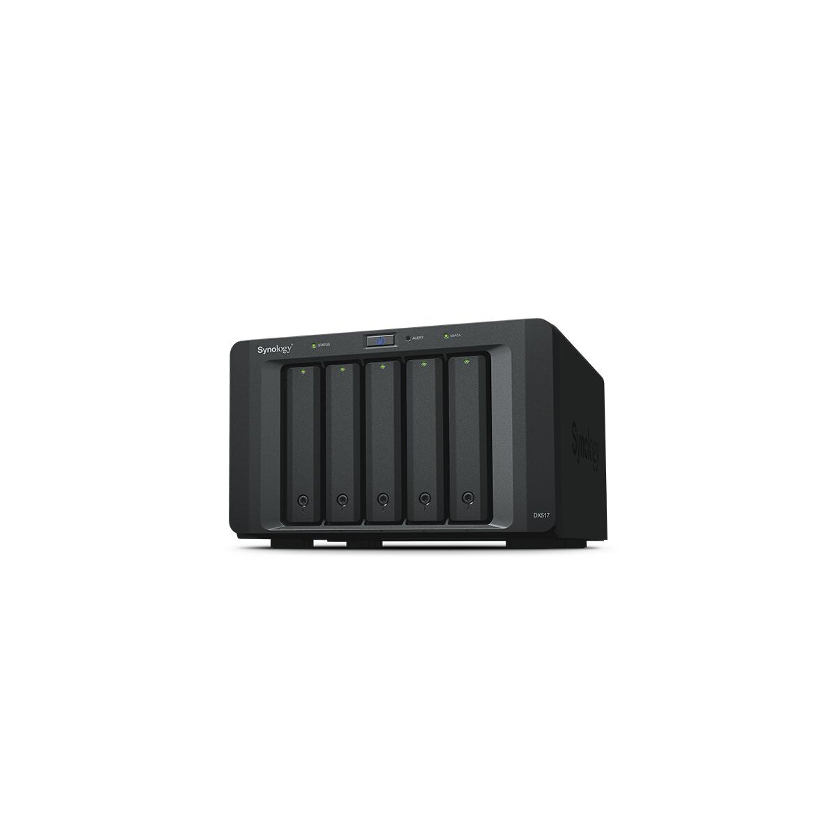 Synology DX517 Disk-Array Desktop Schwarz