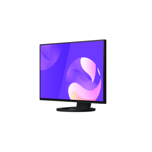 EIZO EIZO EV2495-BK