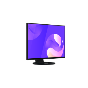 EIZO EIZO EV2495-BK