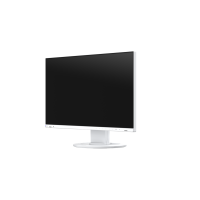 EIZO EIZO EV2400R-WT