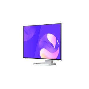 EIZO EIZO EV2495-WT