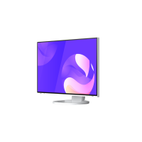 EIZO EIZO EV2495-WT
