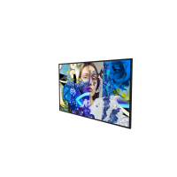 Hikvision DS-D6032FN-DP(O-STD)